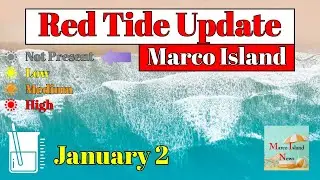 Red Tide Update January 2nd Marco Island News