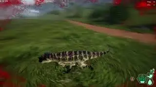Cera vs 2-3 carnos