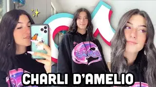 Charli D'Amelio New TikTok Compilation 2020