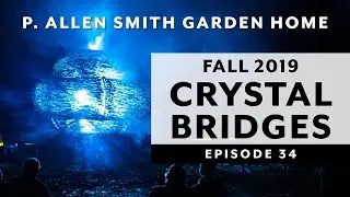Best Light & Sound Display: Crystal Bridges Museum of American Art | 2019