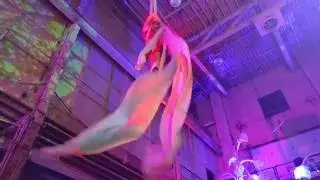 Aerial Silks Performance at the Bal Ingeniuex