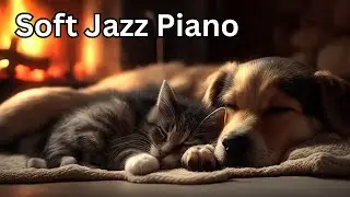 Slow Jazz Piano Lofi: Peaceful Music for Late Night Focus