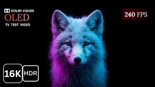 Calming AI Animals & Nature &bull; Relax Sleep Focus Ambience (HDR 16K)