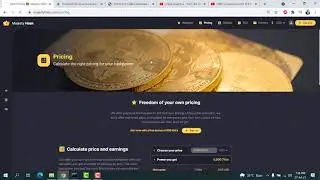 Trick before investment | Majestyhash & B24-mining