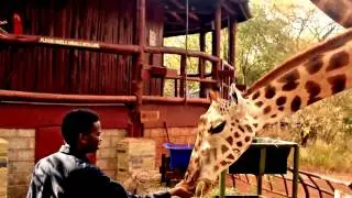 2017 AFEW Giraffe Centre Environmental competition