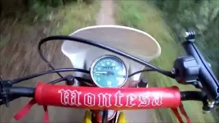 montesitas 360