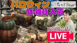 【早い者勝ち！】ハロウィン鉢 入荷情報！！#ガーデニング #園芸 #夜の園芸店LIVE