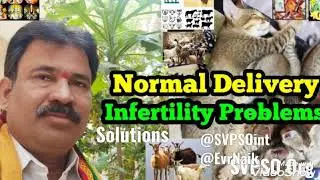 Normal Delivery | Infertility Problems Solutions | Delivery | SVPSO Org nice video for Ppl Awareness