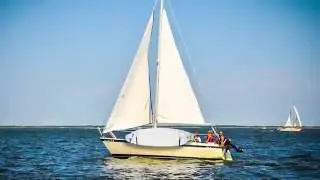 SUPRAX Paddleboard Storage System