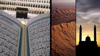Learn More About Our Organization -  MECCA Institute - Medical Marijuana In Islam