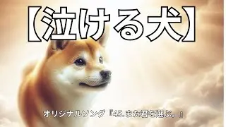 【泣ける犬】『45.また君を選ぶ。』【Music Video】