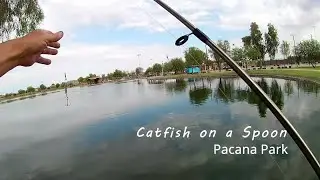 Channel Catfish on Thomas Buoyant Spoon