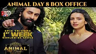 Animal Movie Day 8 Box Office Collection World Wide