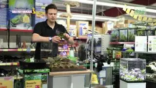 Aquascaping im  Futterhaus Buchholz mit Volker Jochum