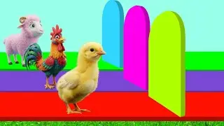 Fountain animals crossing Animation 🐓😍