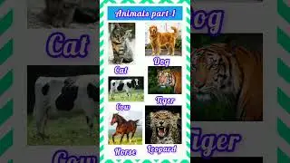 Animals in english. #english #skyfall #adele #facts #education #sigma #shorts #viralshorts