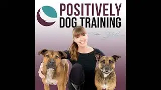 Decoding Canine Behavior: Expert Insights with Veterinary Behaviorist, Dr. Maggie O&rsquo;Brian