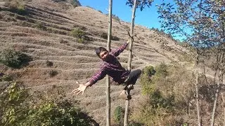 Climbing trees, enjoying fun chats with my brother and sister while grazing goats true villagelife🌿😊