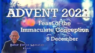 Advent Day 12 - Feast of the Immaculate Conception