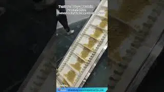 Soya Nugget Extruder Tvp Textured Soya Protein Process Line.        Whatsapp: +86 13256674591