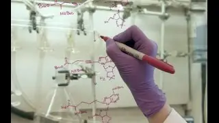 Science Forward-Drug Discovery