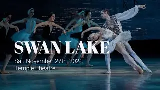 Swan Lake | Temple Theatre