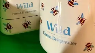 WILD the sustainable refillable, Leaping Bunny certified deodorant body wash and lip balm brand #ad