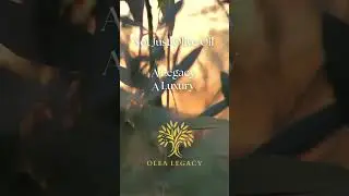 From the ancient Greek olive trees to modern kitchens! #evoo #oliveoil #greece #olealegacy #luxury