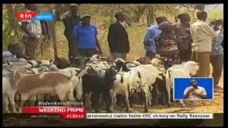 Baringo farmers complain of not being involved in auctioning prices in selling goats in Kimalel