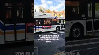 206 BL61 & 5300 Bx9 @ Fordham & Hoffman #mta #beelinebus #Bx9 #route61 #busfanning #thebronx #music