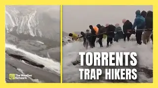 Sudden Flood Traps Hikers on Mountain Trail as Torrents Surround Them