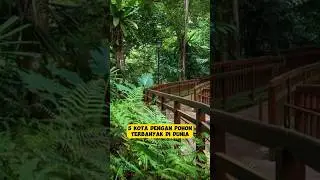 5 kota dengan pohon terbanyak di dunia #trendingshorts #faktaunik #ytshorts