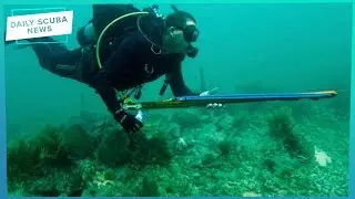 Daily Scuba News - There Could Be A Ban On Scuba Fishing!