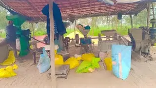 आ गये हैं सेलर पर धान कुटबाने 🥰