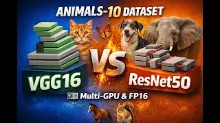 Animals-10 Classification with VGG16 & ResNet50