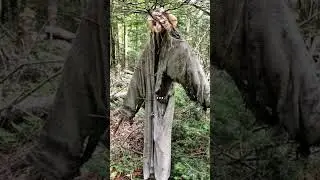 Странные вещи, найденные в лесу... #facts #cute #inspirational #awesome #music #trending #foryou