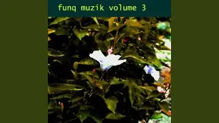 Funq Thirty-Seven