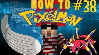 Wailord and Ariados! (How to Pixelmon) #38