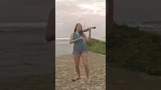 Zara Larsson - Can't Tame Her - VIOLIN