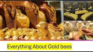 Gold ETF investment | Best Gold ETF | Nippon India Gold ETF|THE BEST Gold ETF |