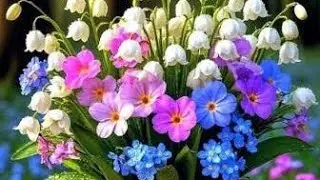 Beautiful flowers 🌹😍 ll nice music 🎶 relaxing 😎# youtube @vetriththamil