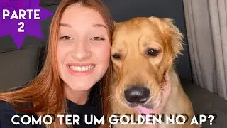 Como ter um Golden no Apartamento? - Parte 2 - Anny Fiacadori- Você Primeiro