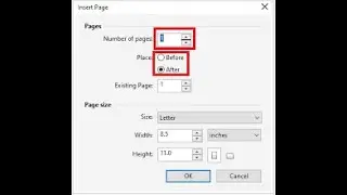 How To Set Page SetUp CorelDraw Software In Hindi