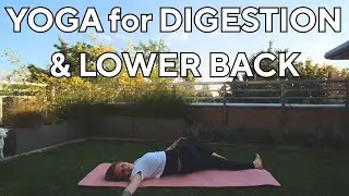 40 min Integrated Yoga for Digestive System and Lower Back | Traditional Yoga