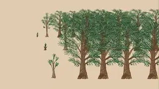 Задайте свой мир &mdash; могут ли деревья мигрировать?