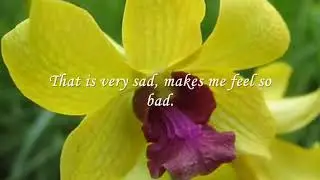 Yellow Bird [Chỉ Là Giấc Mơ Qua] by Johnny Tillotson (with lyrics)