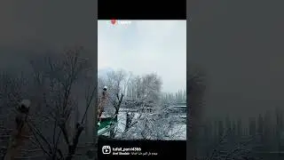 #SkarduSnowFall #gilgitbaltistanpakistan #shortvideo #whatsapps_status #tufail_parvi #viral #skardu