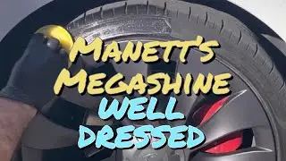 Manett&rsquo;s Megashine/ Well Dressed/ Tire Dressing/ Interior Dressing/ Auto Detailing/ Car Washing