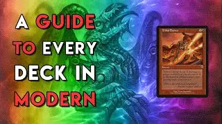 Domain Zoo | A Guide To Every Deck In Modern