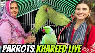 MAMA KO PARROTS GIFT KIYE🦜| Ami bohat khush ho gaen| NA76